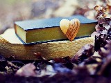 Click for preview picture of "1616384-.. (800 x 600)"